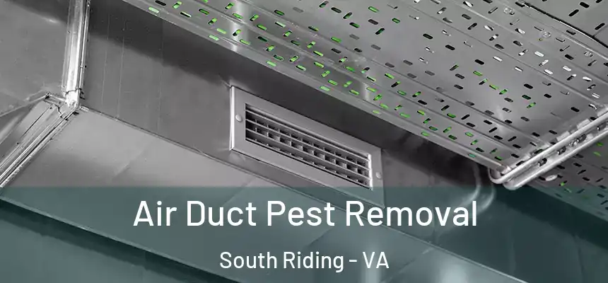  Air Duct Pest Removal South Riding - VA