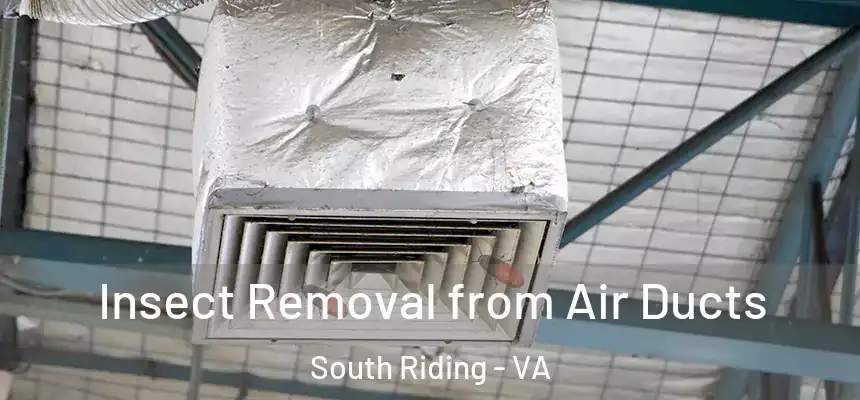 Insect Removal from Air Ducts South Riding - VA