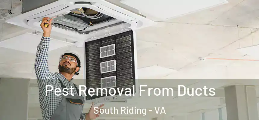 Pest Removal From Ducts South Riding - VA