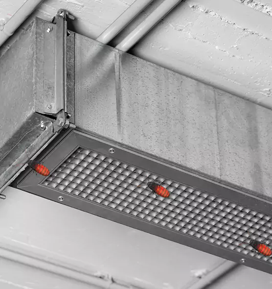 About Air Duct Cockroach Removal in South Riding, VA