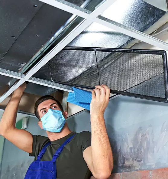 Professional Air Duct Pollen Cleaning in South Riding, VA