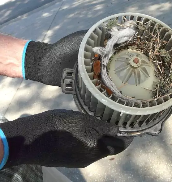 About Air Duct Rat Removal in South Riding, VA