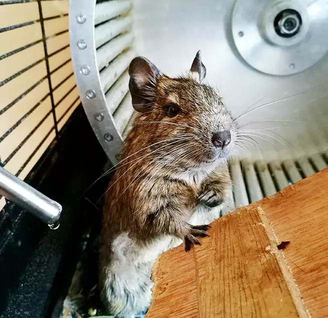 Why Homeowners & Businesses Trust Us South Riding, VA